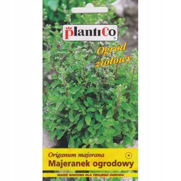 majeranek-rodzaj-rosliny-majeranek