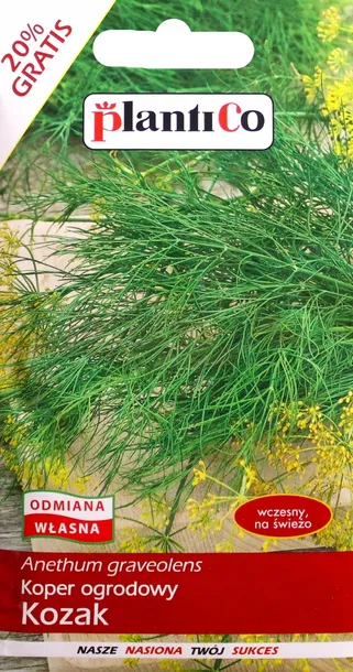 koper-ogrodowy-kozak-kolor-kwiatow-zolte