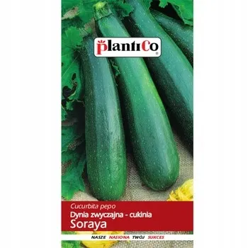 cukinia-soraya-plantico