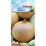 cebula-wolska-polan