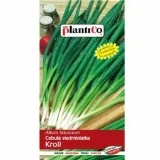 cebula-siedmiolatka-kroll-plantico