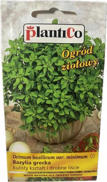 bazylia-wlasciwa-kolor-kwiatow-czerwone