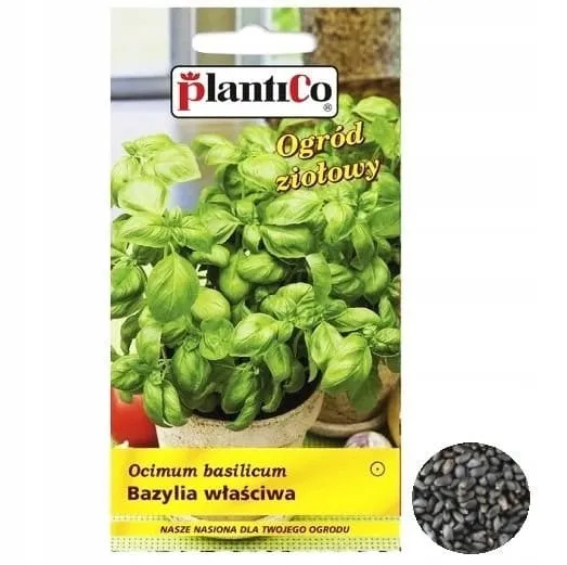 bazylia-wlasciwa-marka-plantico