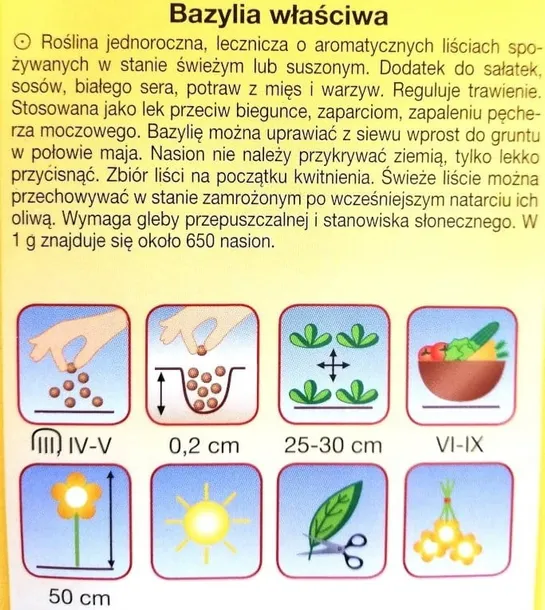bazylia-wlasciwa-styl-ogrod-wiejski-waga-z-opakowaniem-0-01-kg