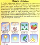 bazylia-wlasciwa-styl-ogrod-wiejski-waga-z-opakowaniem-0-01-kg