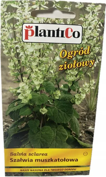 bazylia-wlasciwa-styl-ogrod-wiejski-cykl-rozwojowy-rosliny-jednoroczna