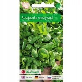 roszponka-warzywna-verte-de-cambrai-15g-seria-bazowa-legutko