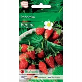 poziomka-regina-01g-seria-bazowa-legutko