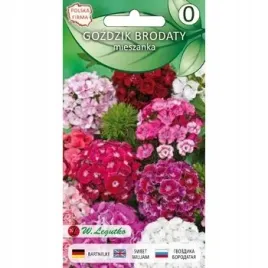 gozdzik-brodaty-mieszanka-pojedyncza-05g-seria-bazowa-legutko