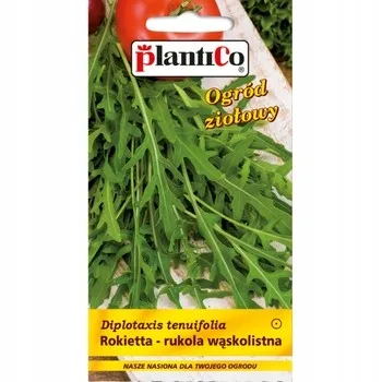 plantico-rokietta-siewna