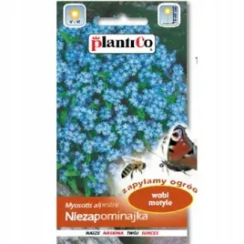 plantico-niezapominajka-niebieska