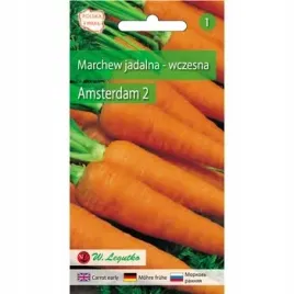 marchew-jadalna-amsterdam-2-wczesna-3g-seria-bazowa