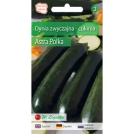 dynia-zwyczajna-cukinia-astra-polka-ciemnozielona-wczesna-100-050g-s