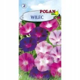 wilec-polan