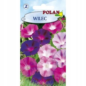 wilec-polan