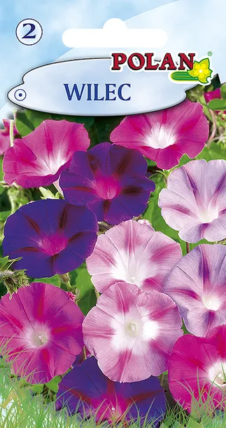 wilec-polan-styl-ogrod-japonski-ogrod-nowoczesny-ogrod-wiejski