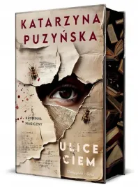 ulice-ciem-ilustrowane-brzegi-katarzyna-puzynska