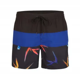 o-neill-meskie-spodenki-frame-block-shorts