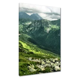 obrazy-80x120-tatry-polskie-gory-widok