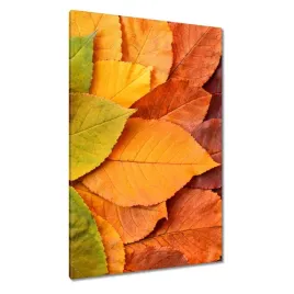 obrazy-80x120-jesienne-kolorowe-liscie-listki-w-kolorach-jesieni