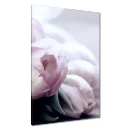 obrazy-80x120-tulipany-kwiaty-kwiatki