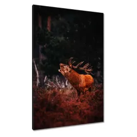 obrazy-80x120-jelen-na-rykowisku-las