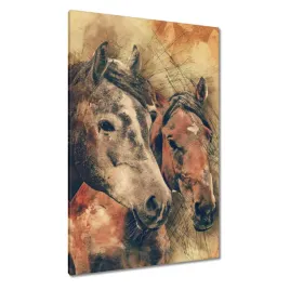 obrazy-80x120-glowy-konskie-lby-koni
