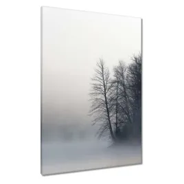 obrazy-70x100-mglisty-las-zima