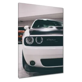 obrazy-70x100-motoryzacja-samochod-auta