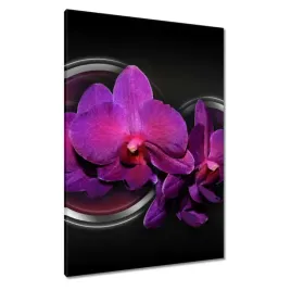 obrazy-70x100-fioletowa-orchidea