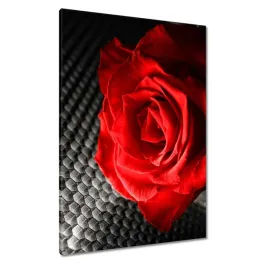 obrazy-70x100-czerwien-wsrod-szarosci