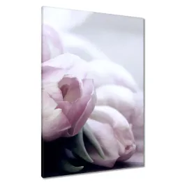 obrazy-70x100-tulipany-kwiaty-kwiatki