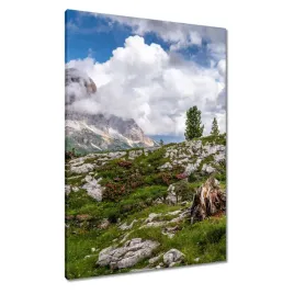 obrazy-70x100-owieczka-w-gorach-widok