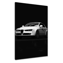 obrazy-80x120-alfa-romeo