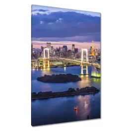 obrazy-80x120-most-teczowy-w-tokio