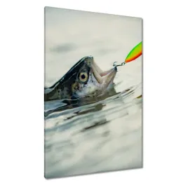 obrazy-80x120-pstrag-na-haczyku-ryba