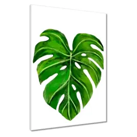 obrazy-50x70-lisc-monsery-dziurawej