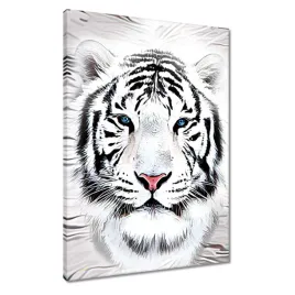 obrazy-50x70-tygrys-leb-zwierze