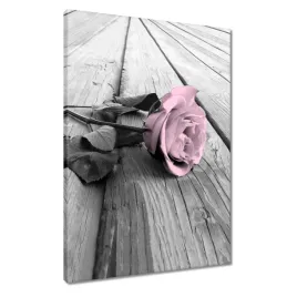 obrazy-50x70-pudrowy-roz-old-pink-rose