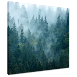 obrazy-50x50-las-we-mgle-podrozowanie