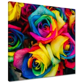 obrazy-50x50-kolorowe-roze-kwiaty