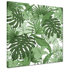 obrazy-50x50-monstera-nowoczesny-wzor
