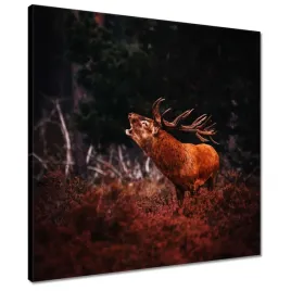 obrazy-50x50-jelen-na-rykowisku-las