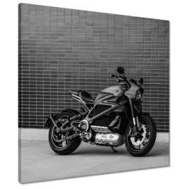 obrazy-50x50-harley-davidson-motocykl