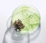 krem-kojacy-do-skory-tlustej-rodzaj-dzien-i-noc