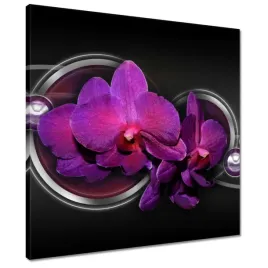 obrazy-50x50-fioletowa-orchidea