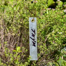 lina-9-miekkich-etykiet-na-drzewka-sadownicze-alu-brand-plant