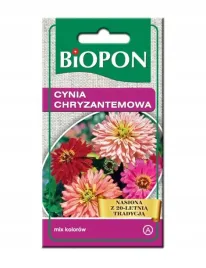 cynia-wytworna-chryzantemowa-nasiona-kwiatow-1g-biopon