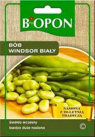 bob-windsor-bialy-duze-nasiona-srednio-wczesny-nasiona-30g-biopon