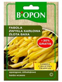 nasiona-fasola-zwykla-karlowa-zlota-saxa-biopon